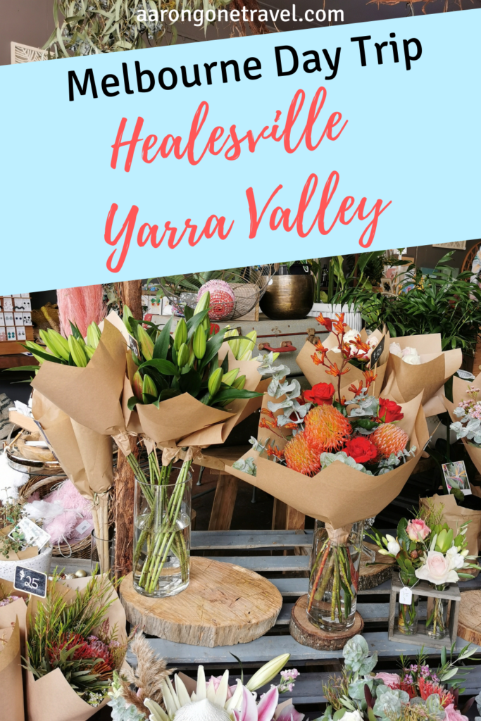 There are so many day trips in Melbourne that you could do but the best of all? Day trip to Yarra Valley! This full day trip itinerary is gonna tell you the best restaurants in Healesville, best cheese, wine, cider, gin, coffee and everything that else that you need to know! #healesville #yarravalley #melbourne #visitmelbourne